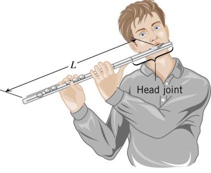 Example 6. Playing a Flute When all the holes are closed on one type of flute, the lowest note it can sound is a middle C, whose fundamental frequency is 261.6 Hz.