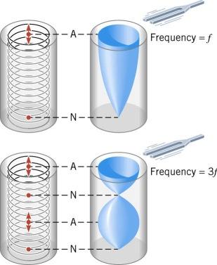 Standing waves can also exist in a tube with only one end open.