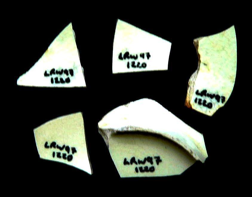Some of the body shards show evidence for broad shallow, lath cut bands and the