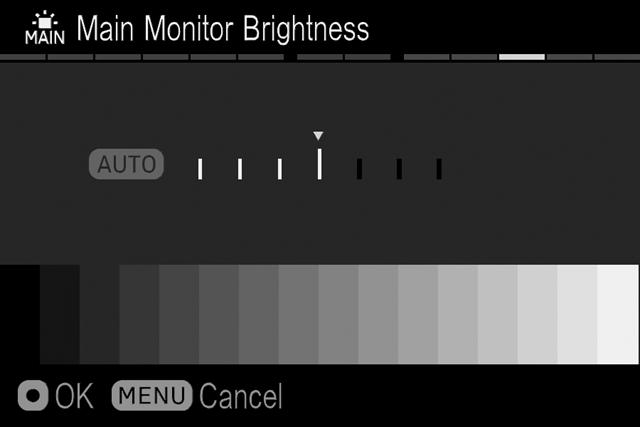monitor is displayed, adjust the brightness to suit the condition with the buttons and
