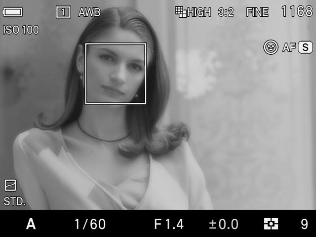A Face Detection Frame will appear in orange once faces are detected in the display.