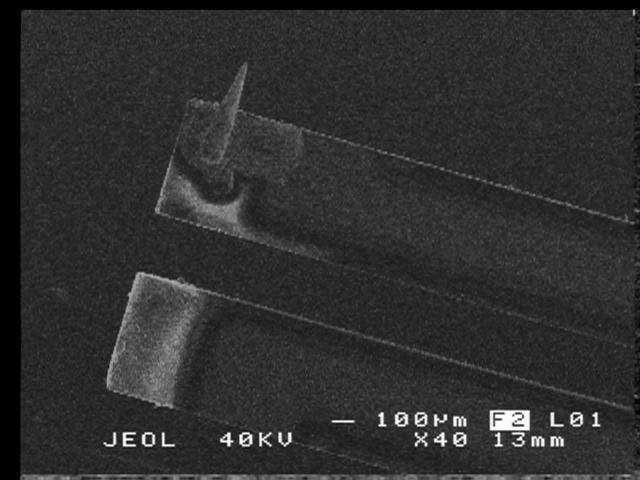 high resolution. Fig. 2.14 SEM images of mounted QTF with a tip The following eight steps are the details of tip mounting. 1). Carefully break vacuum seal of the commercial QTF which is ECS 3x8 model.