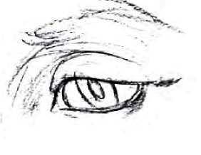 The artist draws the contours of the eye and the eyelids carefully over the sketchy guidelines of Step I.