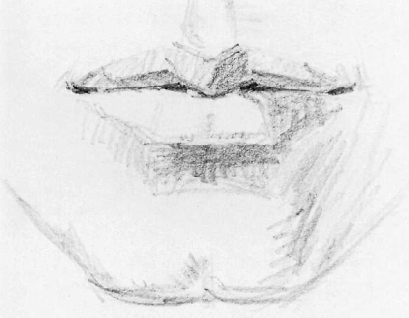 DRAWING THE MOUTH: FRONT VIEW 15 Step 3. Turning the pencil to make broad strokes with the side of the lead, the artist begins to block in the tones with groups of parallel strokes.