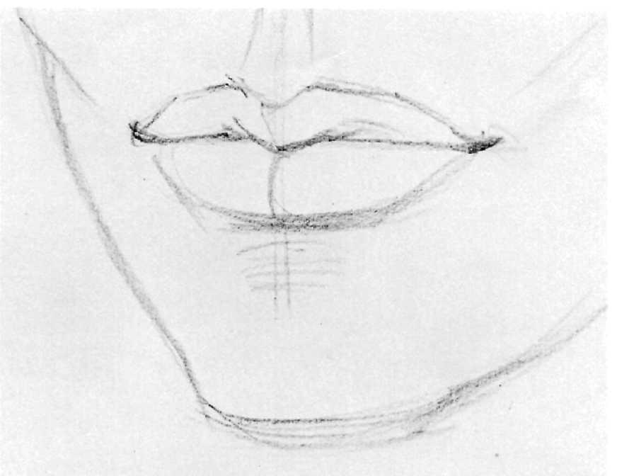DRAWING THE MOUTH: THREE-QUARTER VIEW 16 Step 1. The artist draws the wing shape of the upper lip with curving lines to suggest the softness of the female mouth.
