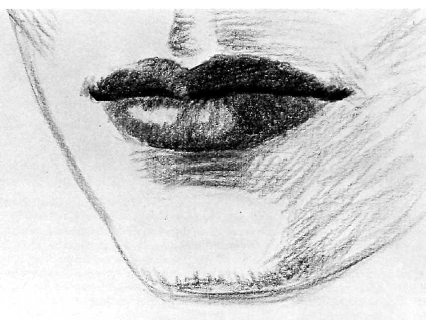 DRAWING THE MOUTH: THREE-QUARTER VIEW 17 Step 3. The artist begins to darken the upper lip, which is normally in shadow, as you've seen in the preceding demonstrations.