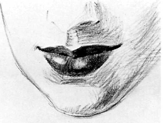 ) As you've seen in previous demonstrations, the preliminary drawing captures the wing shape of the upper lip and the three planes of the lower lip all with straight, simple lines. Step 2.