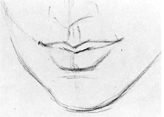 The upper lip actually has a kind of zigzag shape that's sometimes in light and sometimes in shadow.
