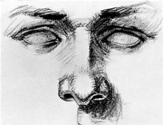 DRAWING THE NOSE: FRONT VIEW 20 Step 1. The preliminary sketch emphfisizes the proportions of the nose in relation to the eyes. The space between the eyes is usually the width of one eye.
