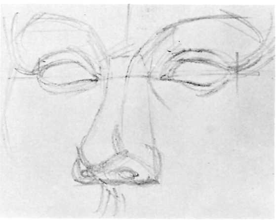 The artist starts with the slanted lines of the brow, leading downward along the eye sockets to the bridge of the nose.