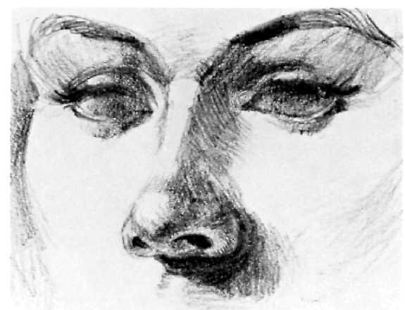 The artist draws the eyes at the same time. Step 2. Following the guidelines of Step 1. the artist refines the curved shapes of the nostrils, the tip of the nose, and its underside.