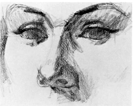 The side of the pencil begins to indicate the shapes of the shadows with rough, scribbly strokes. The light comes from the left, and so the right side of the nose is in shadow.