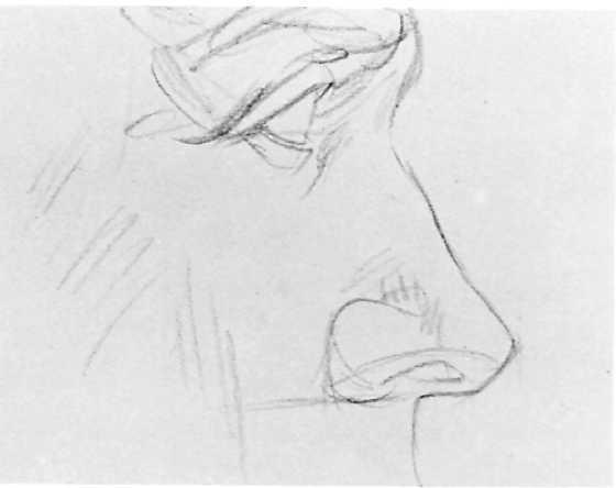 DRAWING THE NOSE: SIDE VIEW 22 Step 1. Drawing the nose in profile, the artist carefully follows the horizontal guidelines that locate the eye and the base of the nose.