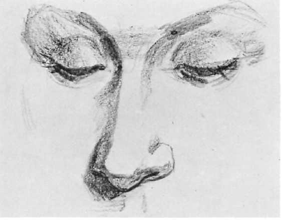 DRAWING THE NOSE: TILTED VIEW 23 Step 1. In this view of the nose, the head tilts slightly downward, and so we see very little of the underside of the nose.