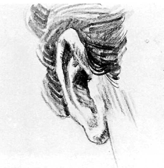 DRAWING THE EAR: FRONT VIEW 25 Step 1. When the sitter faces you, you see much less of the ear. The shape grows slender.