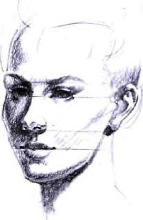 The nose casts a shadow on the upper lip, while the earlobe casts a shadow behind the jaw. Egg Shapes.