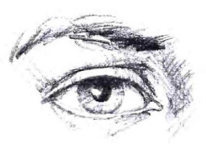 DRAWING THE EYE: FRONT VIEW 10 Step 1. The artist begins to draw the eye by indicating its basic contours with a few casual but carefully placed lines.