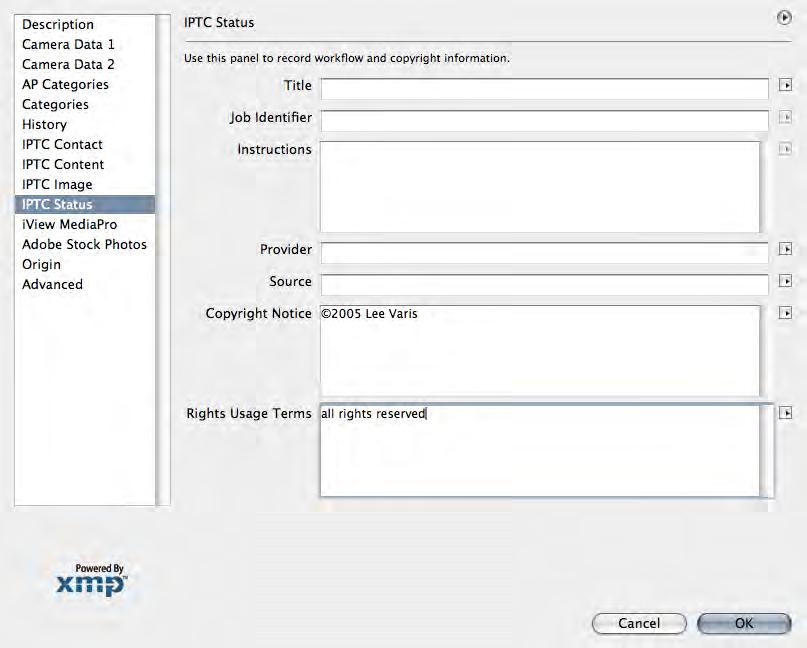Saving the Template The only thing you need to enter in the IPTC Status area is your Rights