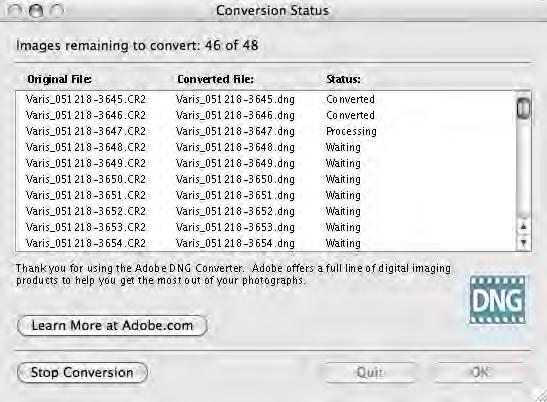 Though you can process you RAW files into DNGs using ACR it is usually better to use the DNG Converter.