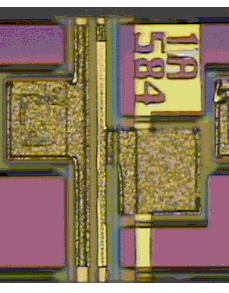 WDM Overview Santur s single and multi element DFBs x G DML Santur s DFB laser technology High