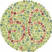 are acquired disorders Color vision tests may not diagnose achromats