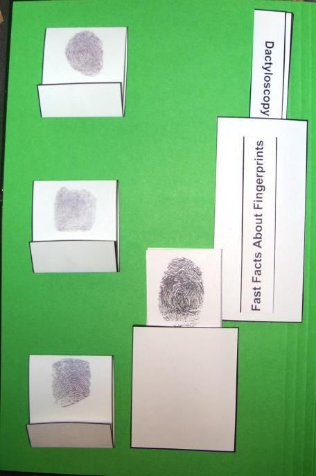Lapbook Photos Fingerprint Matchbooks