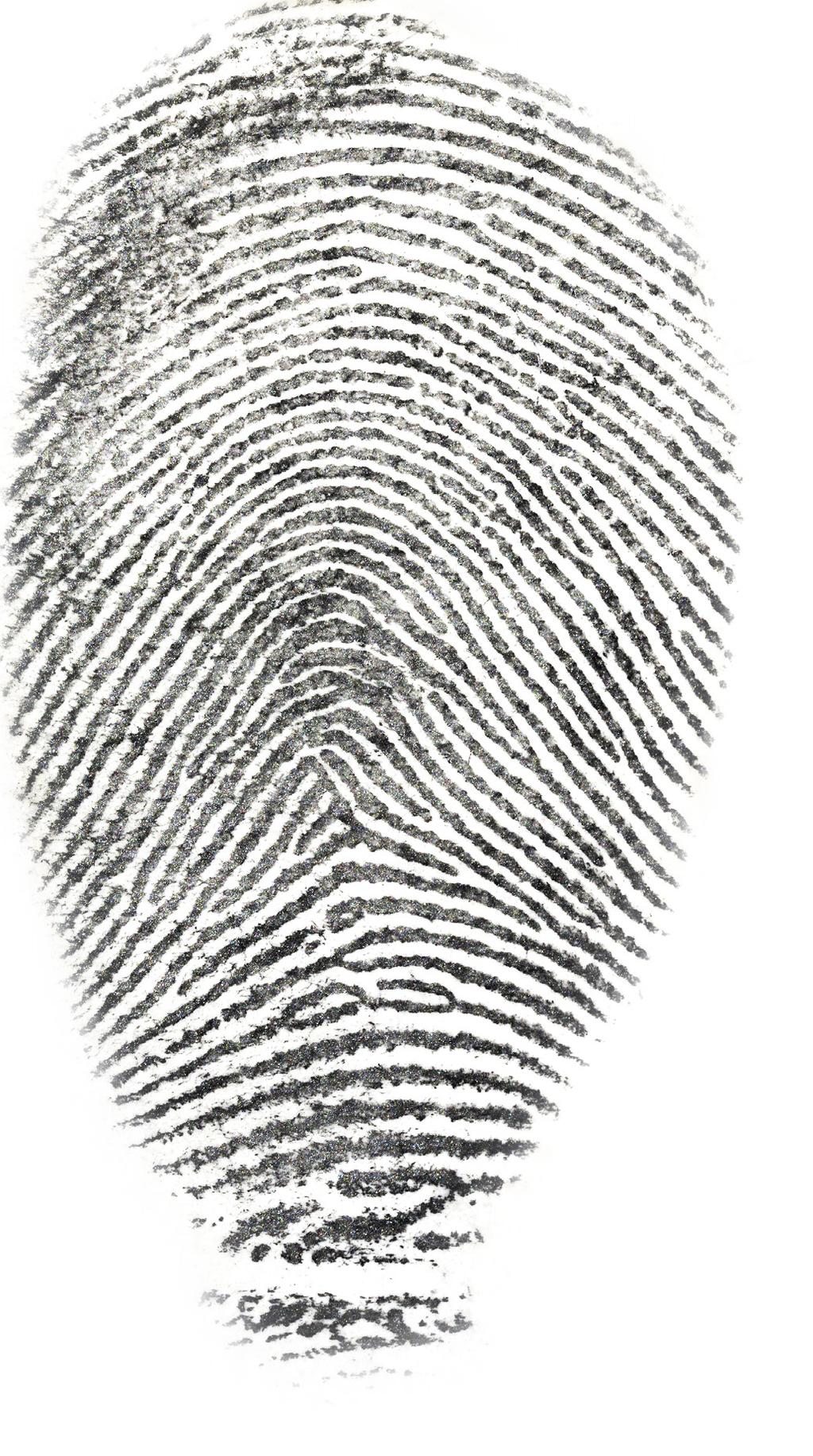 Fingerprint Characteristics Every person on Earth has different finger print patterns, including identical twins, which means that they can be used in identification or dactyloscopy.