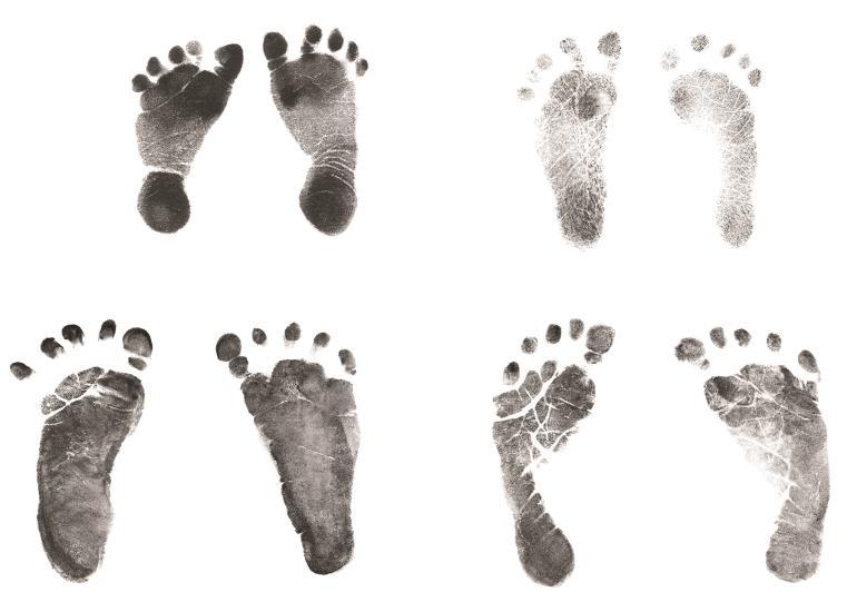 Other Prints, continued Footprints are taken at birth as a means of