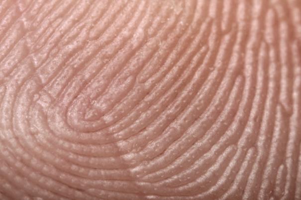 Fundamental Principles of Fingerprints A fingerprint is an individual characteristic.