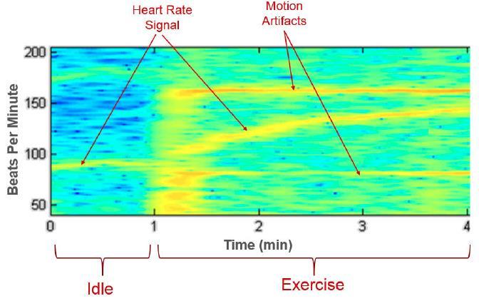 Heart Rate Measurement Algorithm Considerations Motion cadence may equal heart rate Algorithm uses multiple