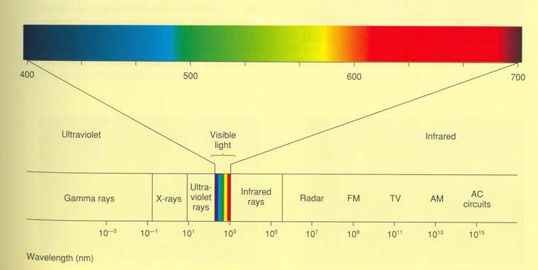 Visible Light Spectrum Slide 3 Color is due to.