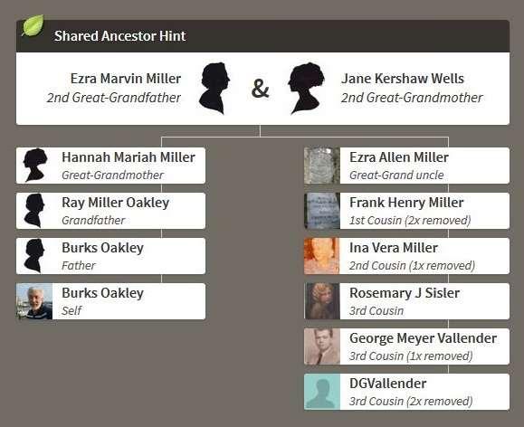 Recently (7 September 2017), I found that I had a new Shared Ancestor Hint with a man having the username of DGVallender (I later found that his name was David G.