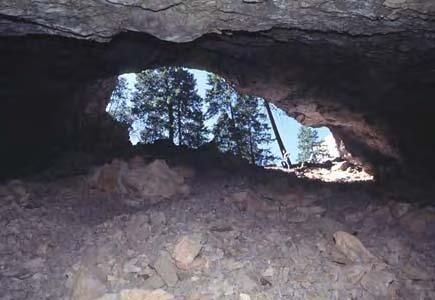 The Twilight Zone, Shadow Zone, or penumbra is further inside the cave, in permanent shadow past direct sunlight, but with visibility during most daylight hours.