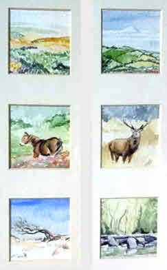 Dulverton Bridge. Stag and Exmoor Pony Stallion. Each image is 10cm x 18cm. in contemporary frame. Exmoor Scenes.