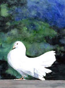 of Peace. Watercolour.