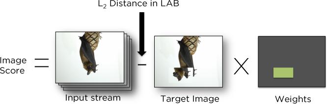 Weight-painting In the simplest mode, a photographer can specify constraints by painting weights onto a single input image (Figure 2, left).