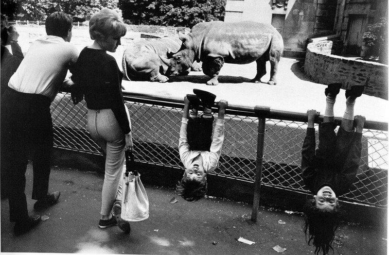 Gary Winogrand, The Animals Photographs of people and animals at the zoo are a humorous and sarcastic look at