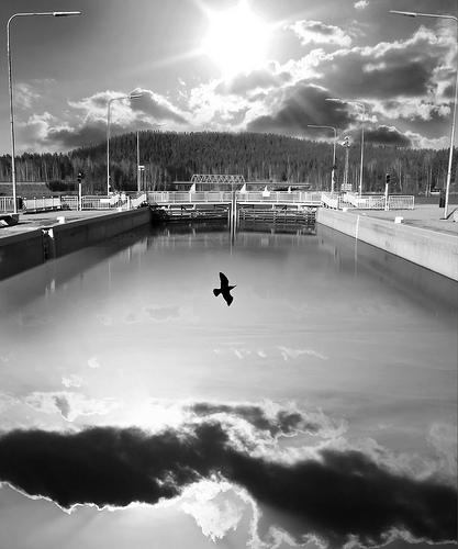 Jerry Uelsmann: Visual Poetry Uelsmann s photos are said to be surreal, spiritual and thoughtprovoking.