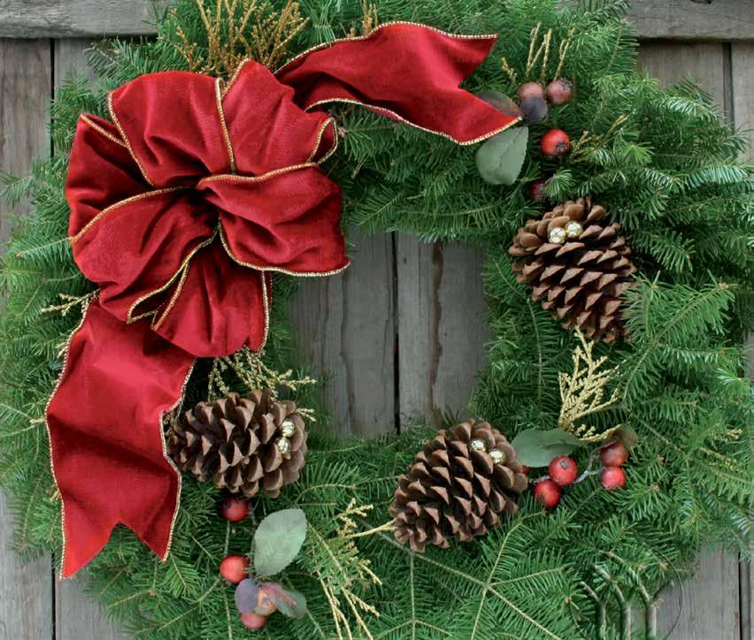 CRANBERRY SPLASH WREATH This traditionally festive wreath is made from natural Balsam Fir boughs and is decorated with a generous, 4 wide, fabric bow