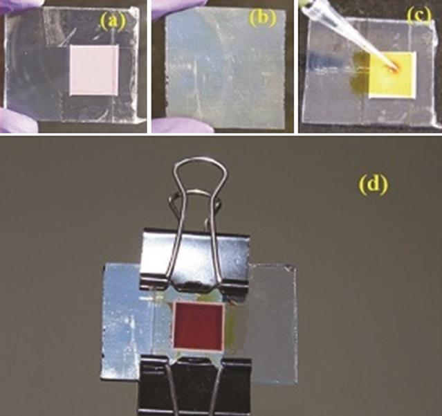 CHANDER & KOMARALA: FABRICATION AND CHARACTERIZATION OF DYE SENSITIZED SOLAR CELLS 741 effective area of about 0.9 cm 