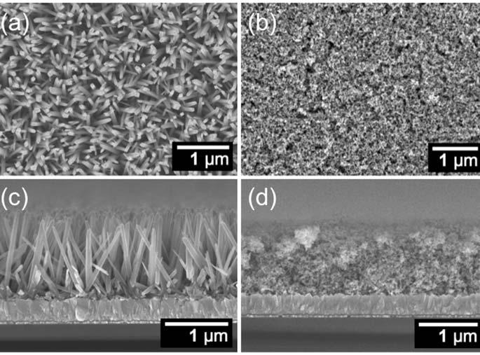 Figure 5.1. SEM images of typical TiO 2 nanowire and nanoparticle films.