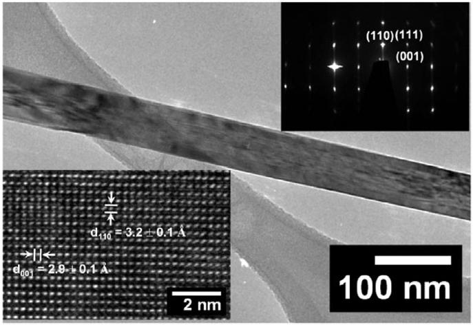 Figure 5.3. TEM image of a TiO 2 nanowire.