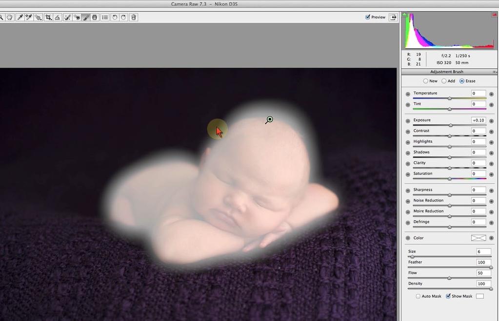 1.3 Fixing Jaundice Skin in ACR Option 2 Targeted Correction If you want to target only the skin of baby and leave the warm rich tones of the rest of the image, use this method to adjust baby s skin