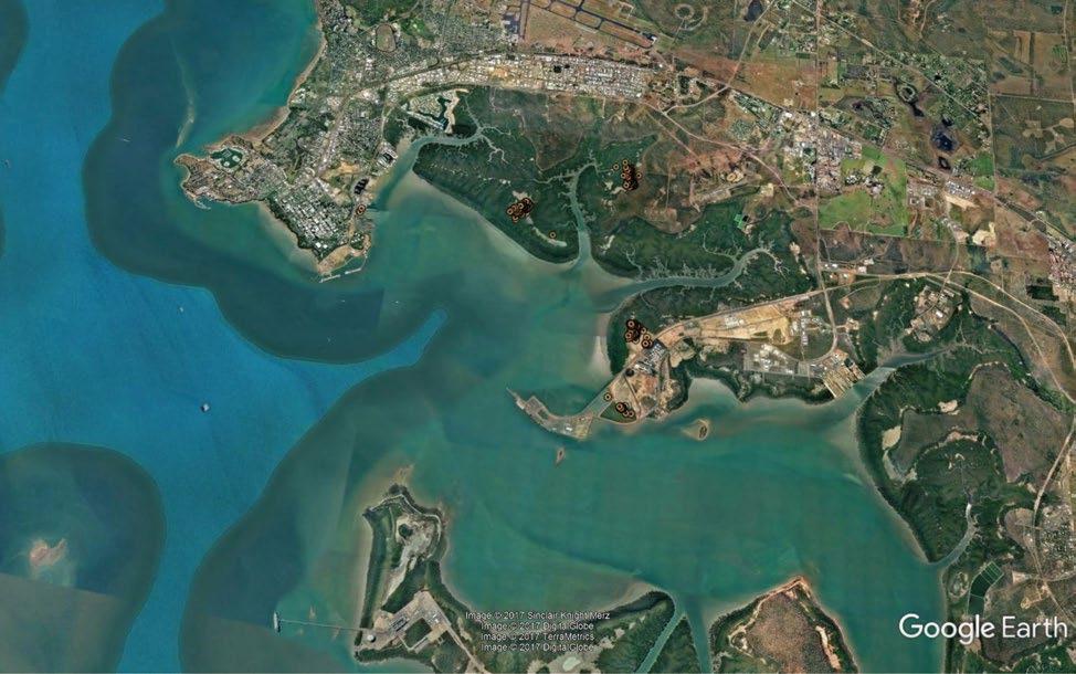 Movement ecology Home Range The two FEC (17004 and 17007) with GPS units have been using saltpans, intertidal mudflat, mangrove areas and the East Arm Wharf dredge ponds since being