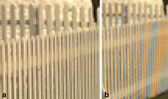 18 R. Zhen and R. L. Stevenson Fig. 2.5 Zipper effect. a Fence bars in the original image, b Fence bars in the bilinear interpolated image Fig. 2.6 False color.