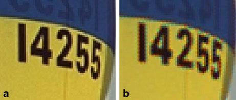 The false colors are spurious colors which are not present in the original image, as in Figs. 2.5b and 2.6b. They appear as sudden hue changes due to inconsistency among the three color planes.