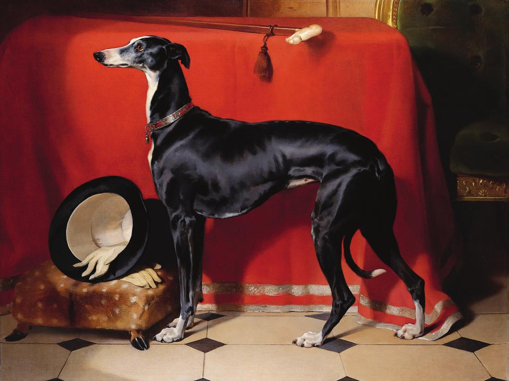 SECTION 1 EXPRESSIVE ART STUDIES (continued) Eos, A Favourite Greyhound of Prince Albert (1841) by Sir Edwin Henry Landseer oil on canvas (112 143 cm) 6.