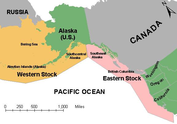 Steller sea lion study Lew, Layton, and Rowe (2010, Marine Resource Economics) Valued population increases and improvements in ESA status Examined role of changing baseline population trajectories on