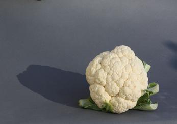 The cauliflower and background is affected by each change of light also.