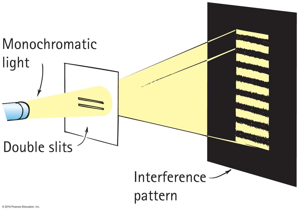 Superposition and Interference Interference pattern (continued) Constructive interference produces bright region where waves reinforce each other (waves arriving in phase).